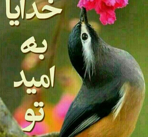 عکس پروفایل خدایا به امید تو