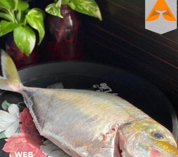 عکس پروفایل برای گروه دختر و پسر قاطی