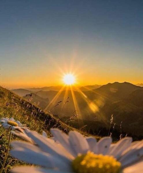 عکس زیبای بهار برای پروفایل