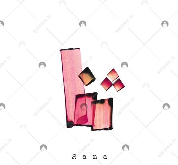 عکس پروفایل با اسم ثنا