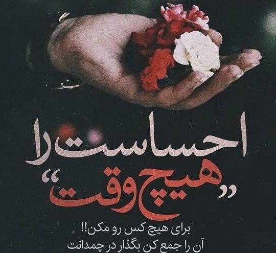 عکس پروفایل تیکه دار دخترونه شیک