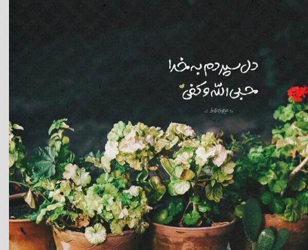 عکس پروفایل خدا جدید و زیباترین