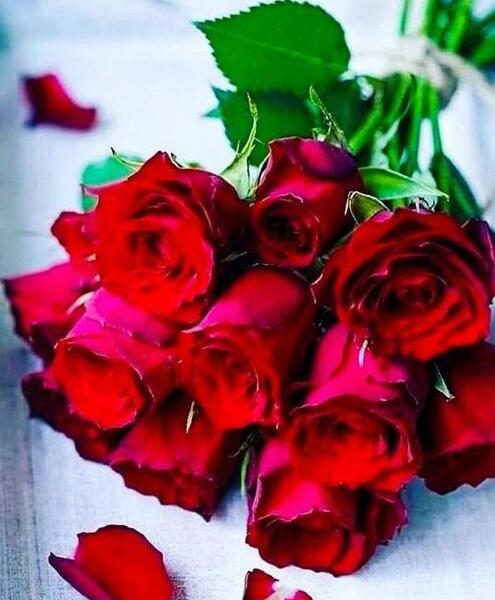 عکس گل زیبا برای پروفایل دخترونه جدید