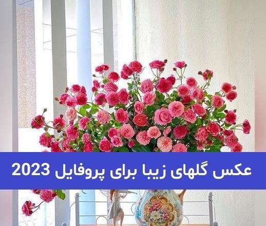 عکس گل زیبا برای پروفایل دخترونه جدید