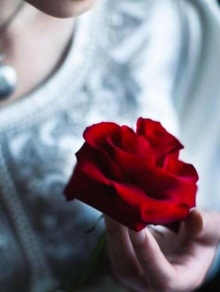 عکس گل زیبا برای پروفایل دخترونه جدید