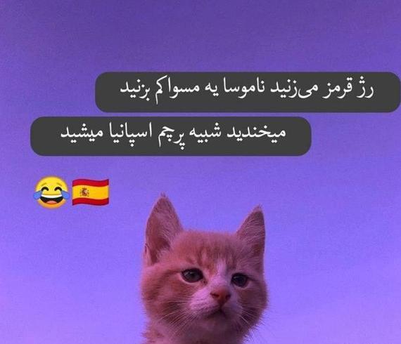 عکس پروفایل گپ خنده دار