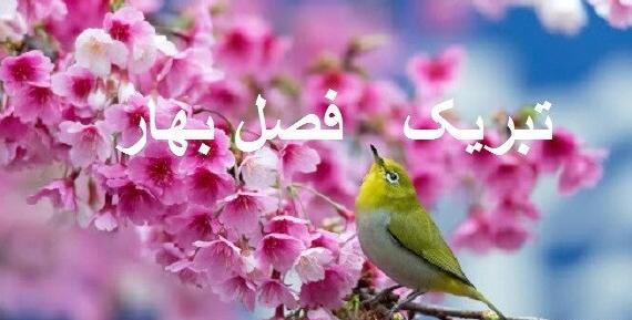 عکس پروفایل تولد بهار