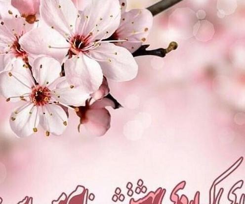 عکس پروفایل تولد بهار