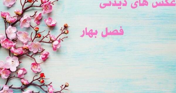 عکس پروفایل تولد بهار
