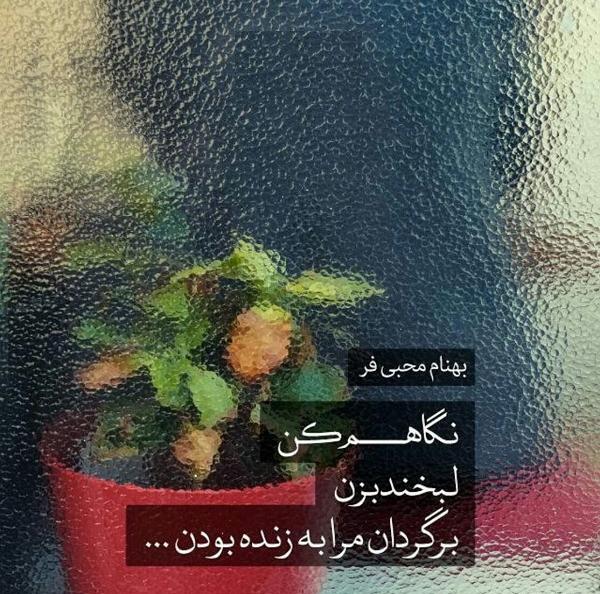 عکس پروفایل خدایا یا بزن بره جلو
