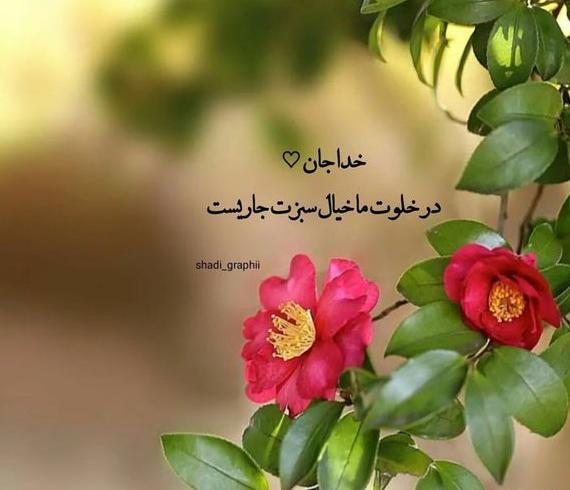واقعی تصاویر عکس پروفایل خدا