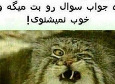 عکس پروفایل خنده دار در مورد امتحانات