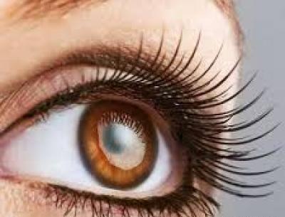 عکس پروفایل چشم عسلی طبیعی