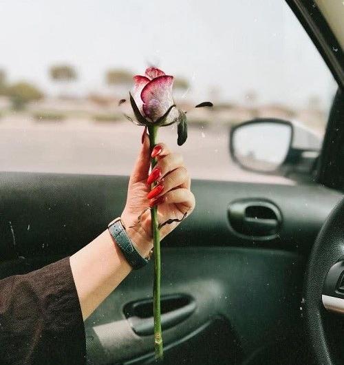 عکس گل برای پروفایل دخترانه شیک