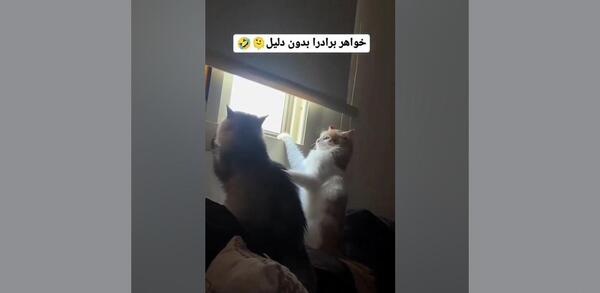 عکس پروفایل خدایا من یارش تو نگهدارش