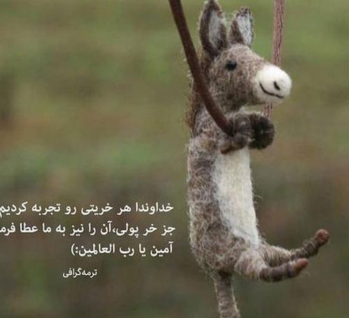 عکس پروفایل خنده دار برای گروه بدون متن