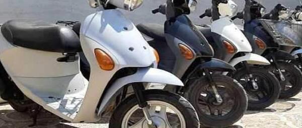 زیباترین عکس پروفایل حیوانات