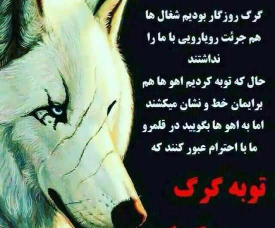 عکس نوشته حیوانات برای پروفایل