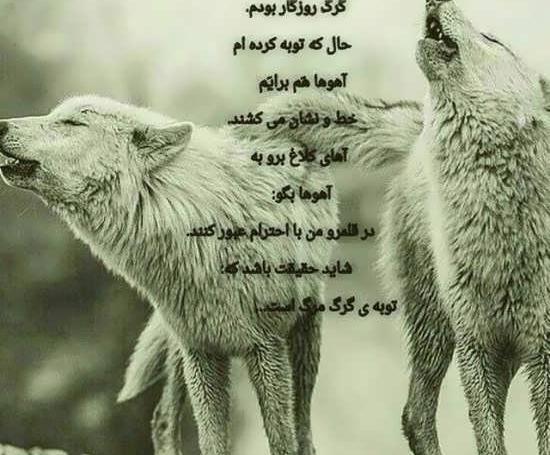 عکس نوشته حیوانات برای پروفایل