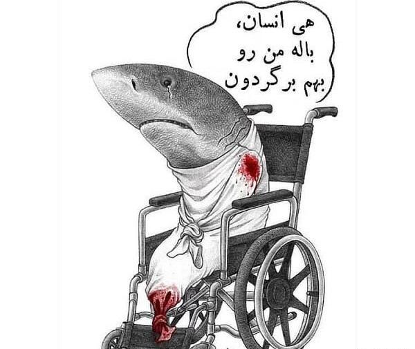 عکس نوشته حیوانات برای پروفایل