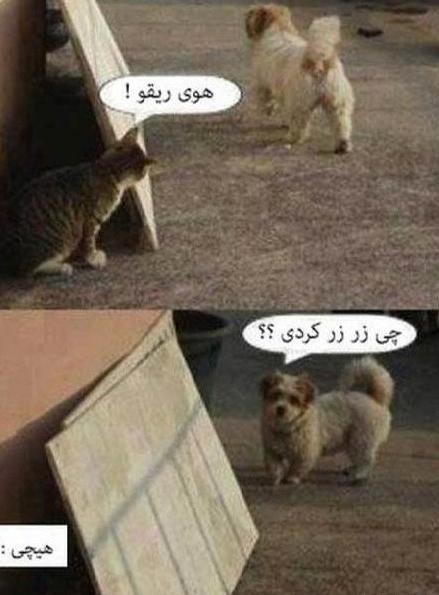 عکس نوشته حیوانات برای پروفایل