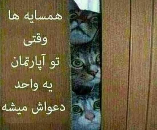 عکس پروفایل خنده دار جالب