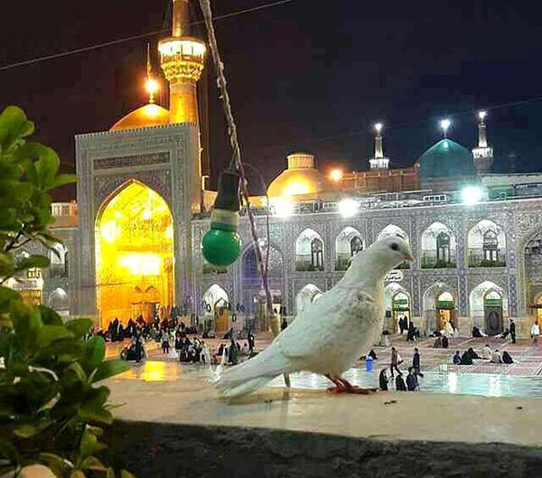 عکس زیبای حرم امام رضا برای پروفایل