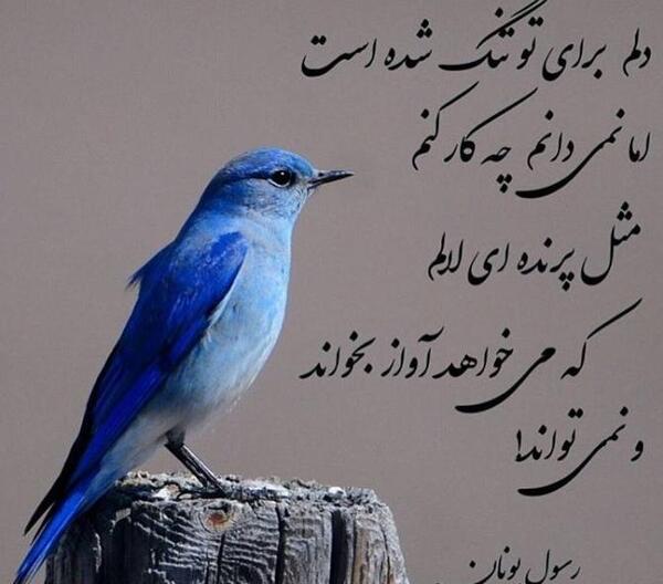 عکس پروفایل کلبه ی تنهایی