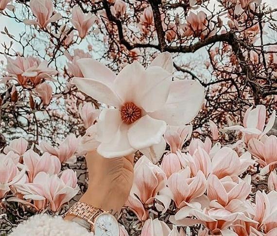 عکس پروفایل به نام بهار