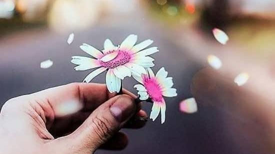 عکس پروفایل فصل بهار جدید