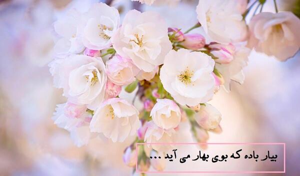 عکس پروفایل واسه بهار