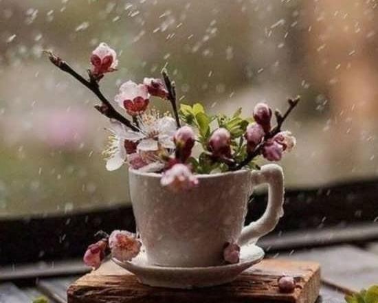 عکس پروفایل واسه بهار