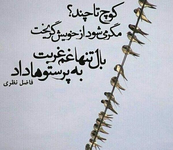 عکس پروفایل بچه گانه سیاه سفید