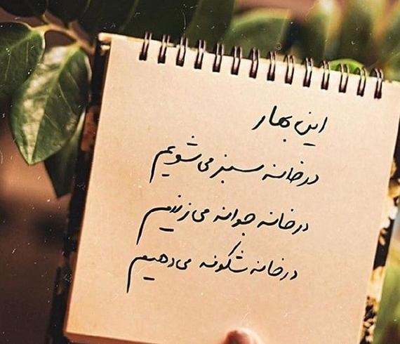 عکس پروفایل بهار نارنج