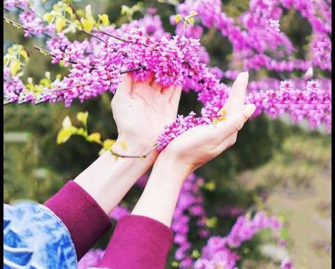 عکس پروفایل دختر در بهار