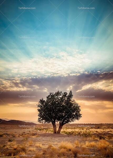 عکس پروفایل فقط تنهایی
