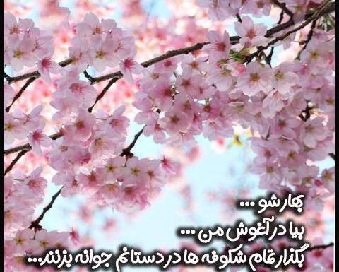 عکس پروفایل برای بهار نزدیکه