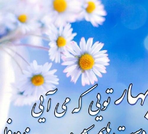 عکس پروفایل برای بهار نزدیکه