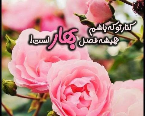 عکس پروفایل برای بهار نزدیکه