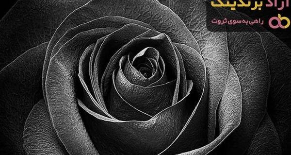 عکس پروفایل گل مشکی برای تسلیت