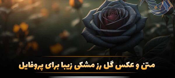 عکس پروفایل گل مشکی برای تسلیت