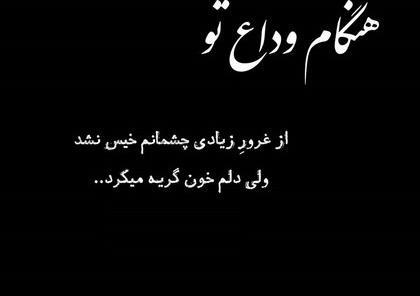 عکس پروفایل گل مشکی برای تسلیت