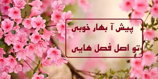 عکس پروفایل بهاری زنانه