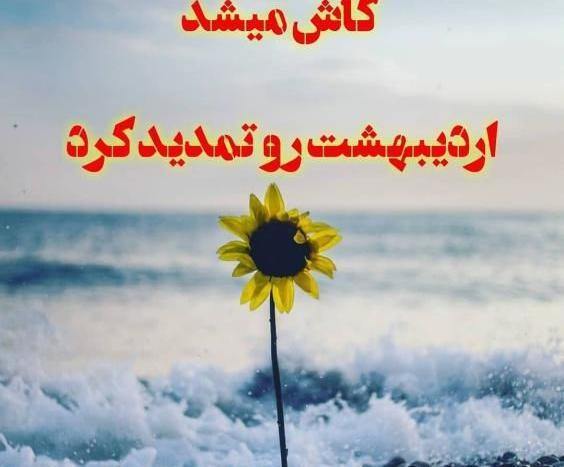 عکس پروفایل من دختر بهارم