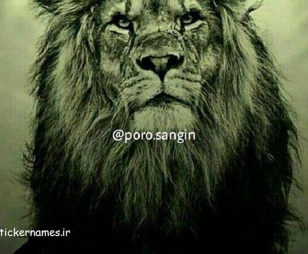 عکس پروفایل پسرانه خفن شیر