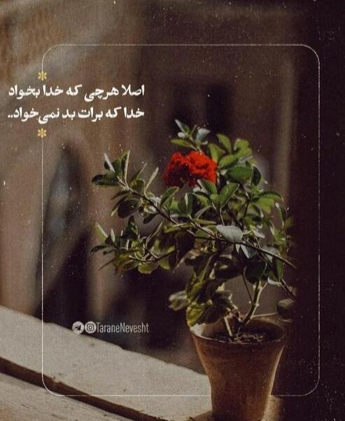 عکس پروفایل جدید در مورد خدا