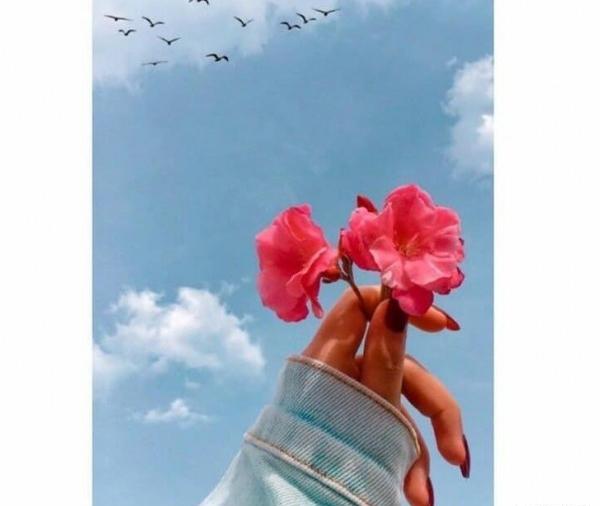 عکس فلسفی برای پروفایل بدون متن