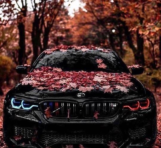 عکس پروفایل دخترانه با ماشین