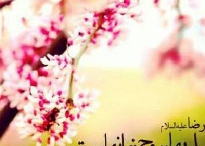 عکس پروفایل خاص بدون متن بهار