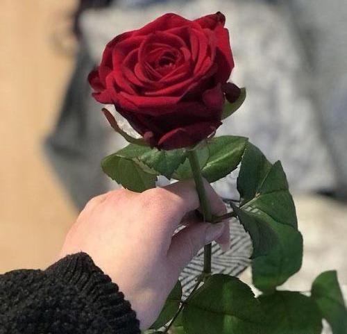عکس پروفایل جدید گل دخترانه